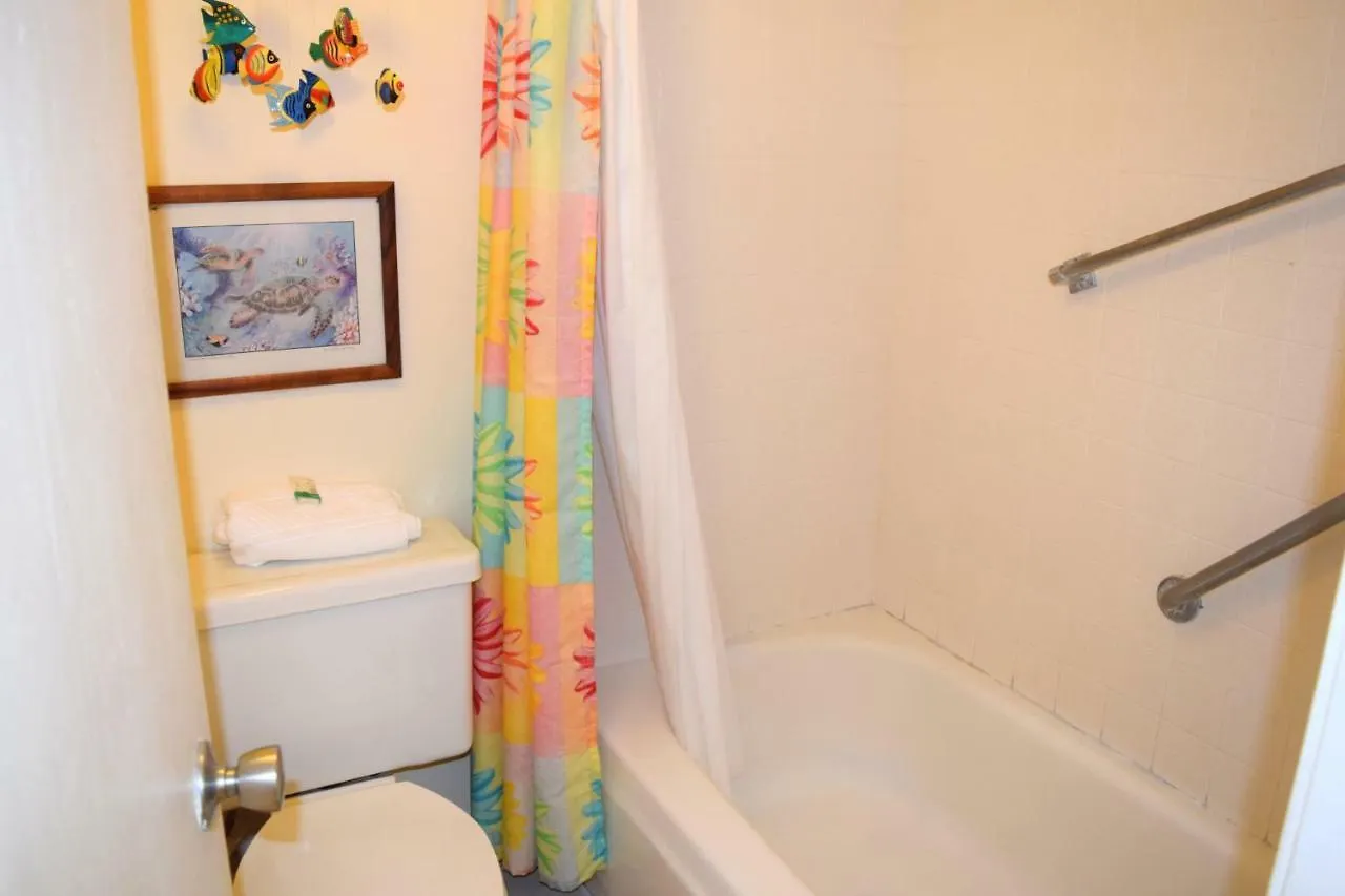 Kihei Akahi C611 Apartment Wailea   Wailea (Maui)